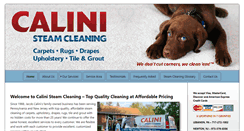 Desktop Screenshot of calinisteamcleaning.com